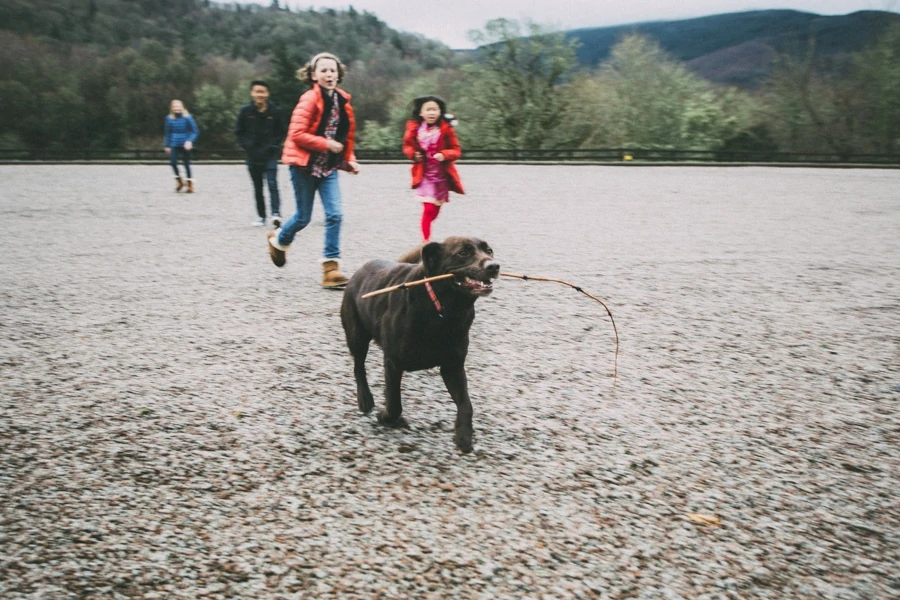 destination-wedding-scotland-032